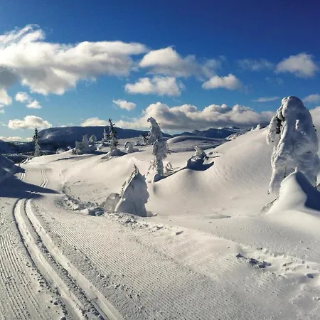 Сasa de vacaciones Lovely In With Sauna Vradal