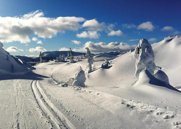 בית נופש Lovely In With Sauna וראדל