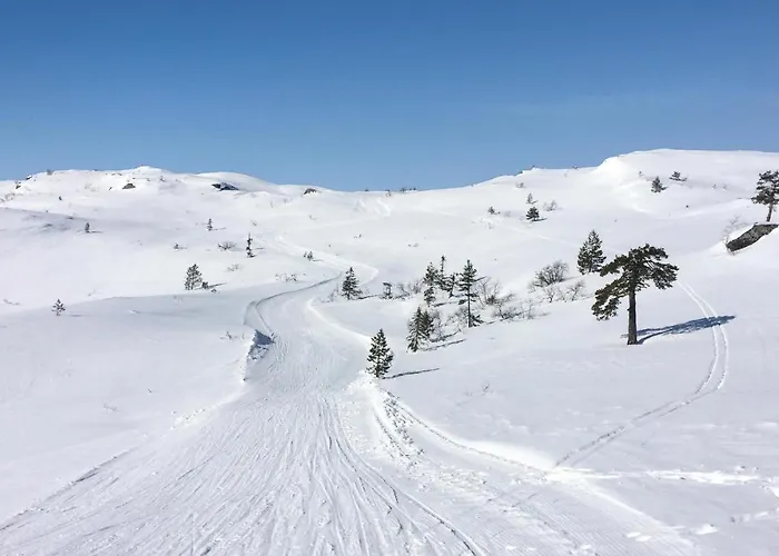 Lovely In With Sauna בית נופש וראדל