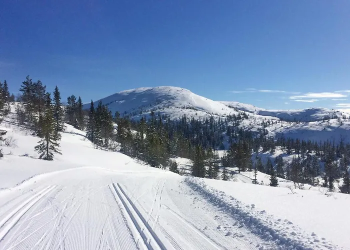 Lovely In With Sauna בית נופש *